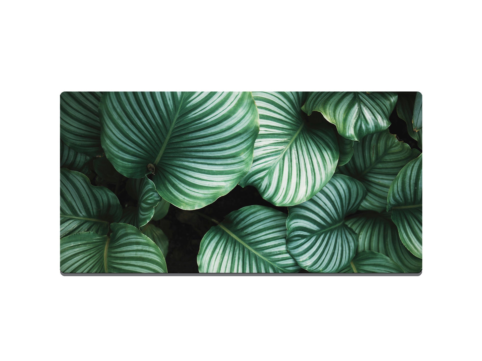 Green And White Rounded Leaves Gaming Mat - Desk Mat - 3 SIZES - Bar - Mats.co.uk